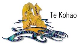 Te Kōhao Health - Mental Health & Addictions Services