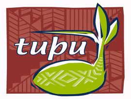 Pacific Alcohol & Other Drug Service | Waitematā - Tupu